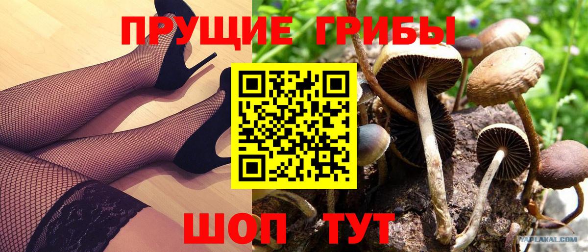Вышний Волочёк  Галлюциногенные грибы ЛСД  Галлюциногенные грибы Cubensis  Вход с VPN 