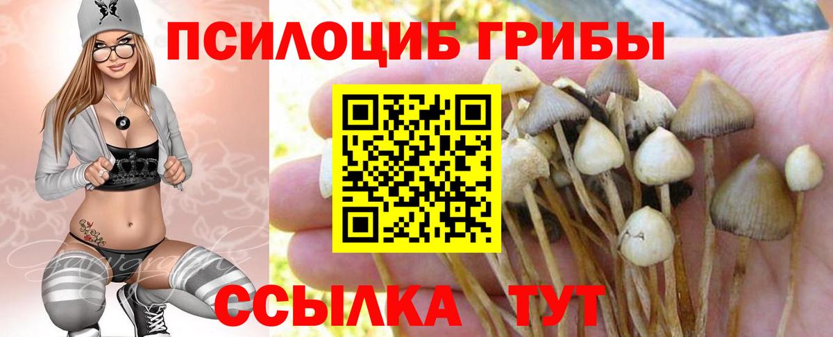 Каннабис  Вход с VPN  МЕТ  NBOMe  Вышний Волочёк  COCAIN  ГАШ  МЕФ кристаллы 